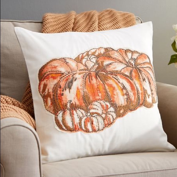 NWT Pottery Barn Harvest Pumpkin Pillow Cover 20” - Picture 1 of 5